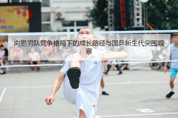 向鹏男队竞争格局下的成长路径与国乒新生代突围观察